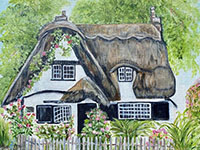 Tina Muller